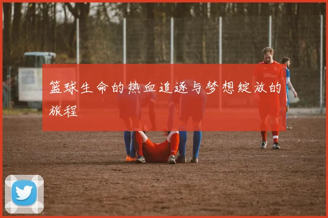 篮球生命的热血追逐与梦想绽放的旅程