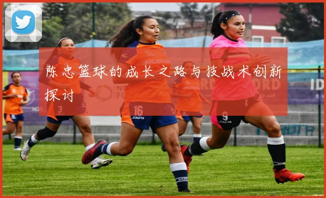 陈忠篮球的成长之路与技战术创新探讨