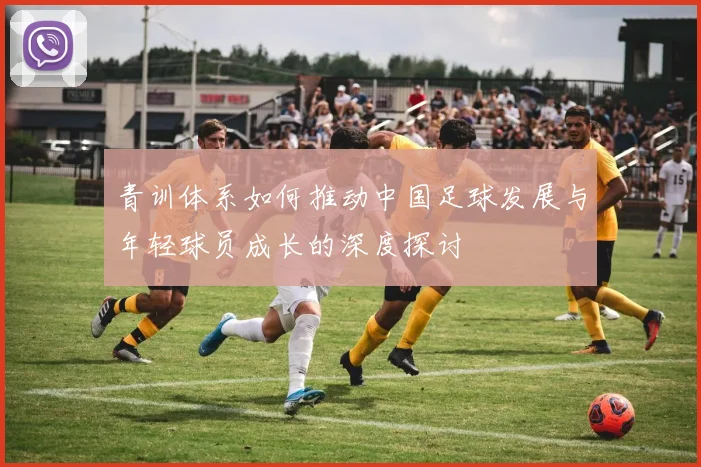 青训体系如何推动中国足球发展与年轻球员成长的深度探讨