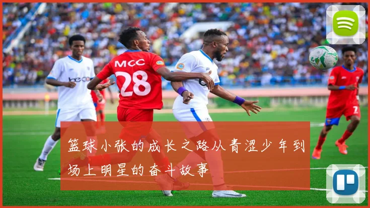 篮球小张的成长之路从青涩少年到场上明星的奋斗故事