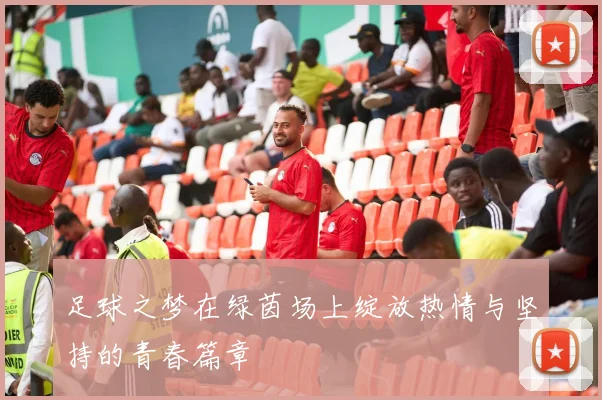 足球之梦在绿茵场上绽放热情与坚持的青春篇章