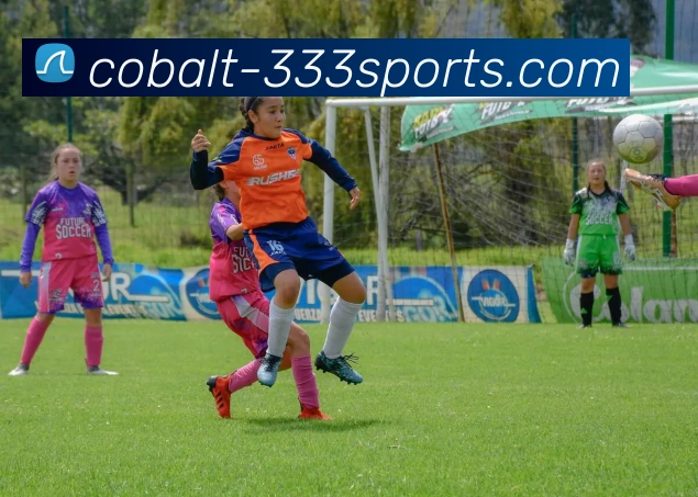 333体育APP 高清赛事图